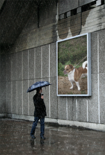 f:id:yasukazu01:20100420202425g:image