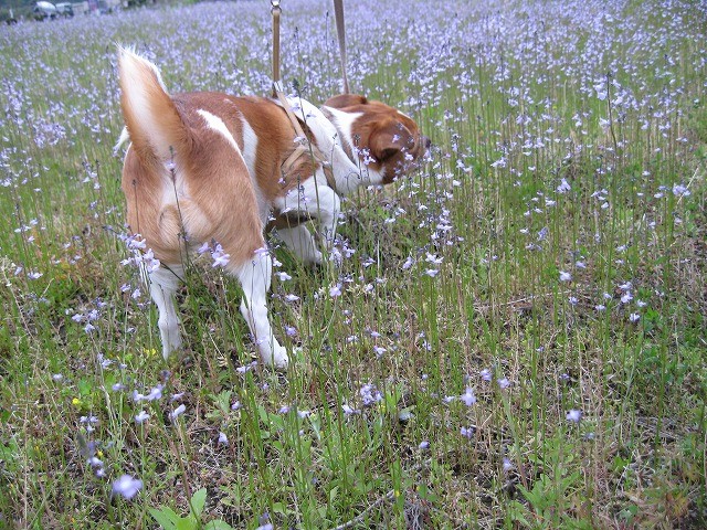 20100428202201