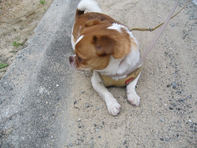 20100428202353