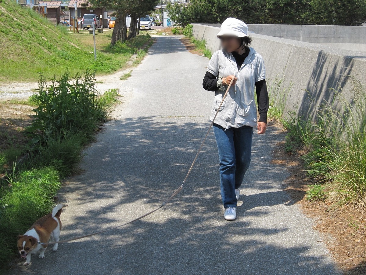 f:id:yasukazu01:20100516101842j:plain