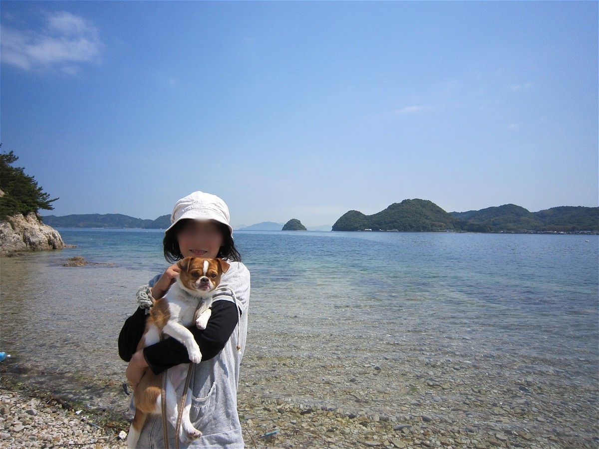 f:id:yasukazu01:20100516102207j:plain