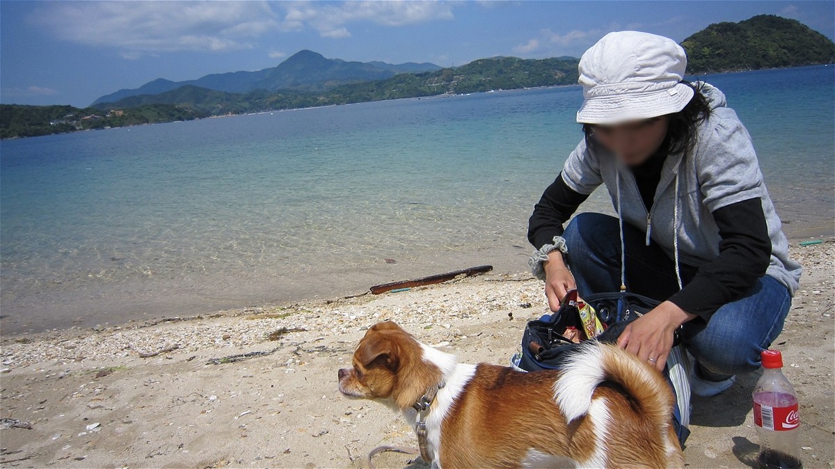 f:id:yasukazu01:20100516102802j:plain