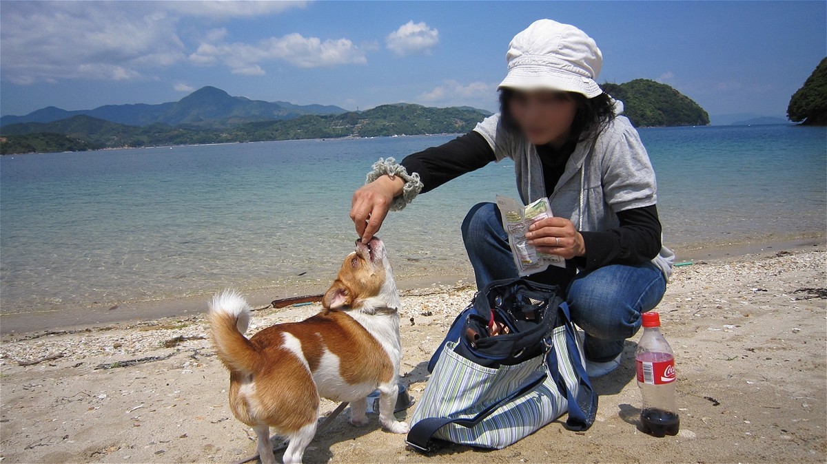 f:id:yasukazu01:20100516102830j:plain