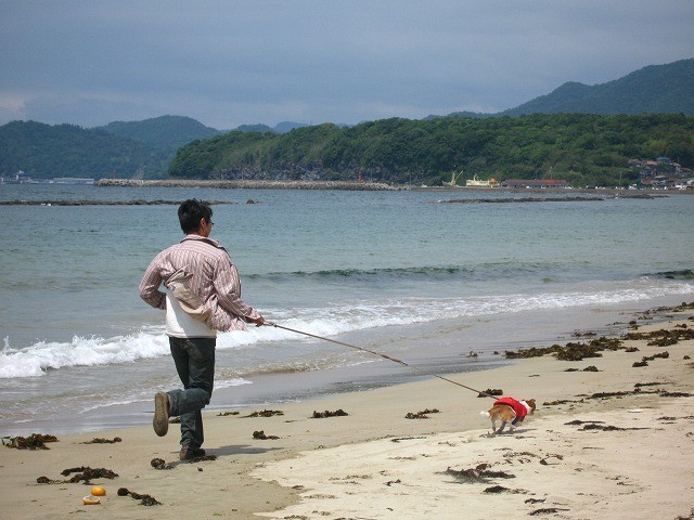 f:id:yasukazu01:20100603201850j:image