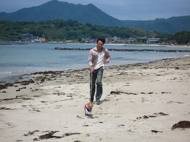 f:id:yasukazu01:20100603201929j:image