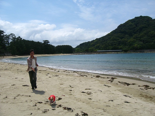 f:id:yasukazu01:20100603202250j:image