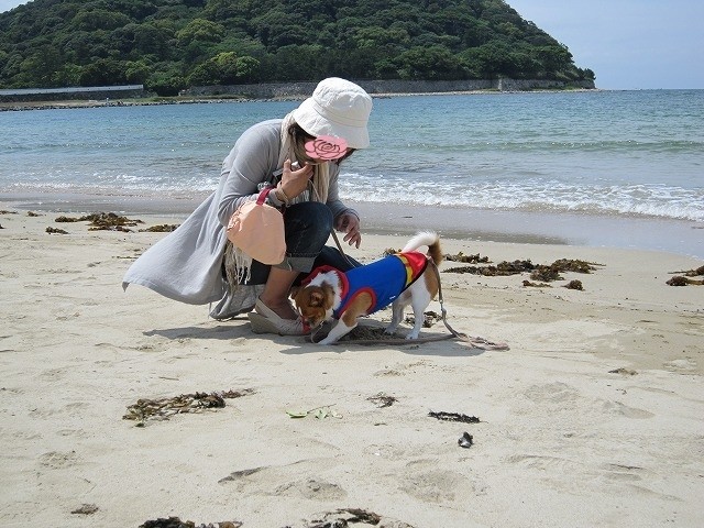 f:id:yasukazu01:20100603202820j:image