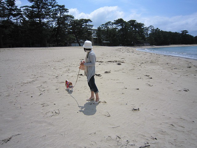 f:id:yasukazu01:20100603203415j:image