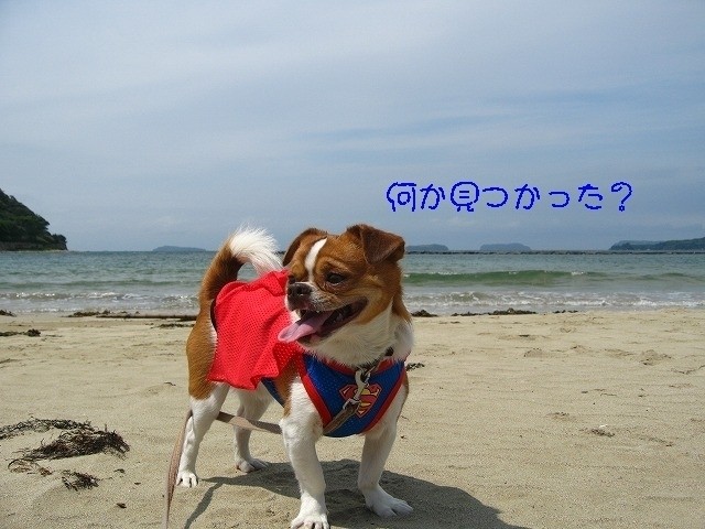 20100605223548