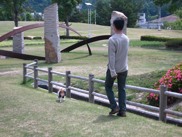 f:id:yasukazu01:20100607202821j:image