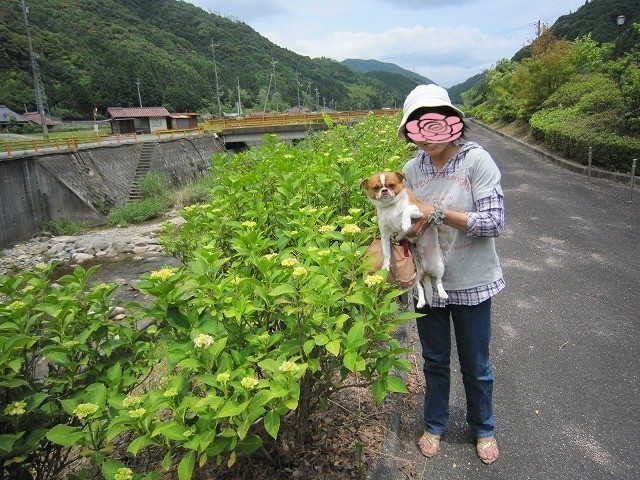20100614212230