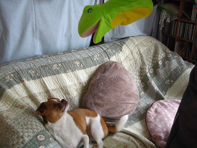 20100620203715