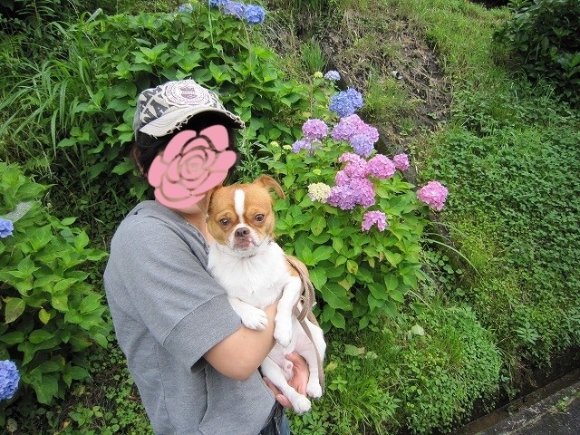 20100621202710