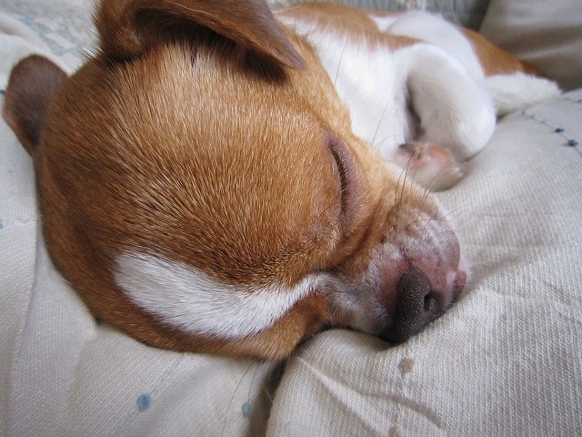 20100625222011