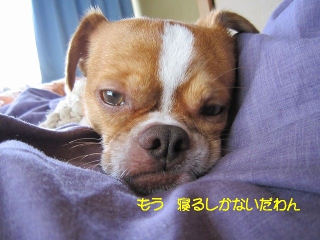 f:id:yasukazu01:20100626204003j:image