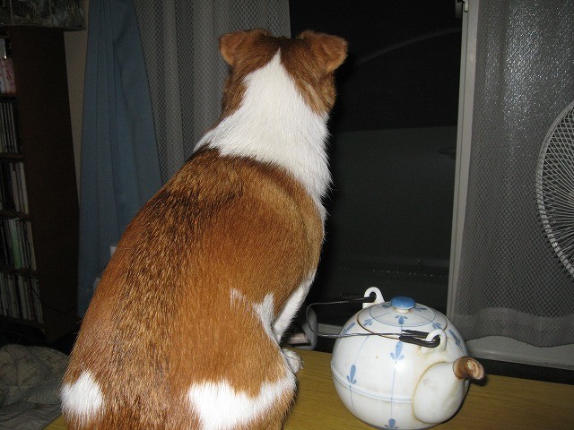 20100713220954
