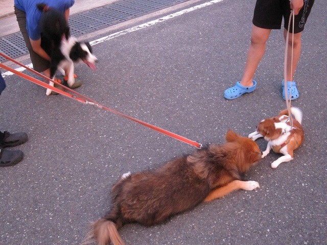 20100722211339