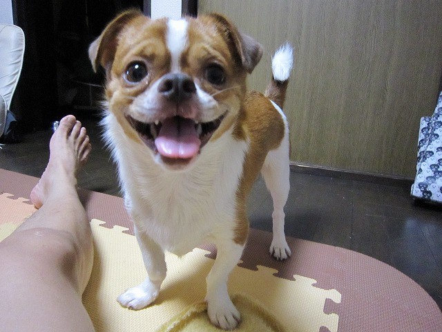 20100726211903
