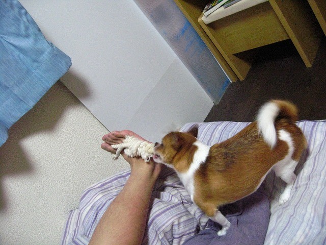 20100728224001