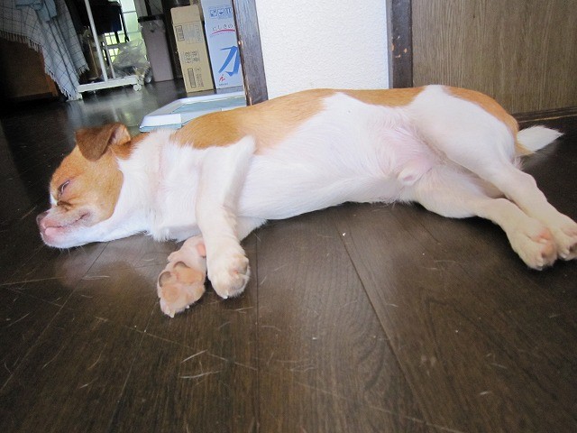 20100809212901