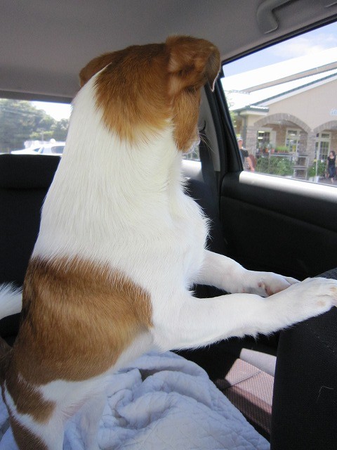 20100831215650