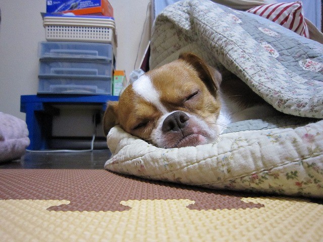 20100902204838