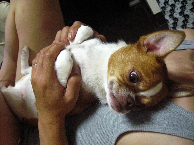 20100925215428