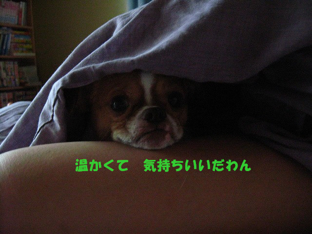 20100926204038
