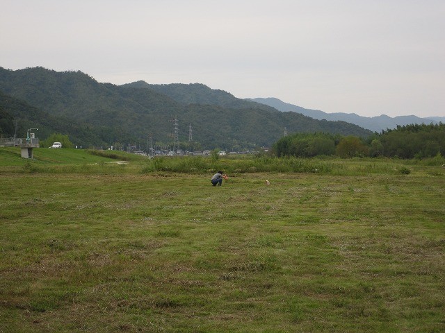 f:id:yasukazu01:20100930201831j:image