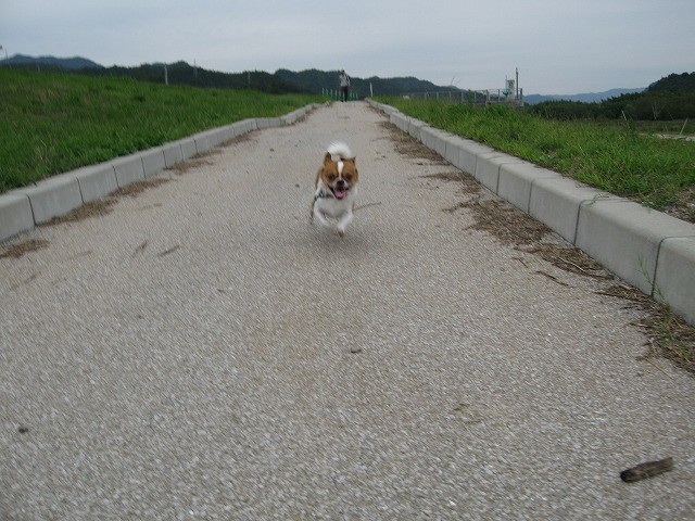 f:id:yasukazu01:20100930203339j:image
