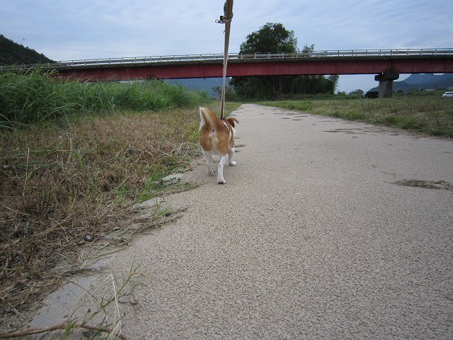 f:id:yasukazu01:20100930203858j:image