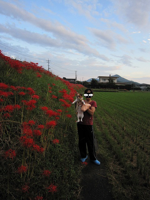 20101003205731