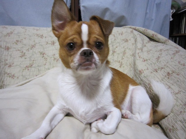 20101005212057