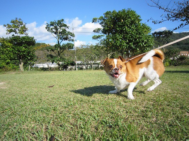 f:id:yasukazu01:20101011214901j:image f:id:yasukazu01:20101011214901j:image