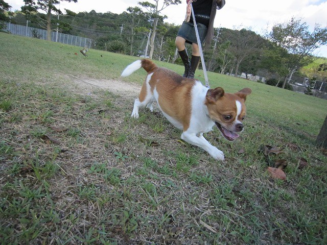 f:id:yasukazu01:20101011214902j:image f:id:yasukazu01:20101011214902j:image