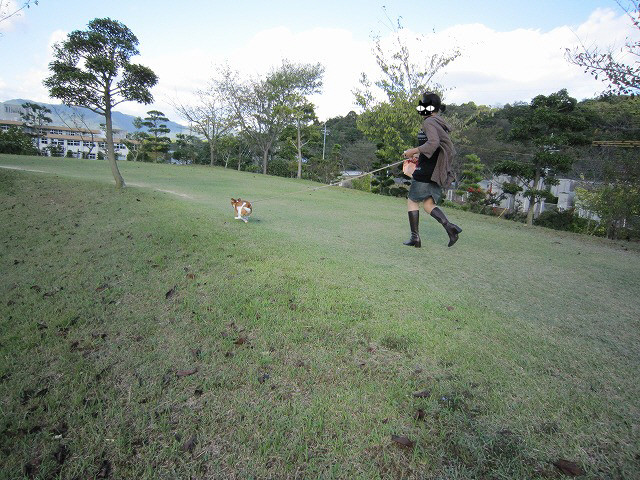 f:id:yasukazu01:20101011214903j:image f:id:yasukazu01:20101011214903j:image