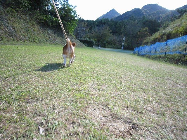 f:id:yasukazu01:20101011214904j:image f:id:yasukazu01:20101011214904j:image