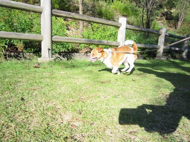 f:id:yasukazu01:20101011214905j:image f:id:yasukazu01:20101011214905j:image