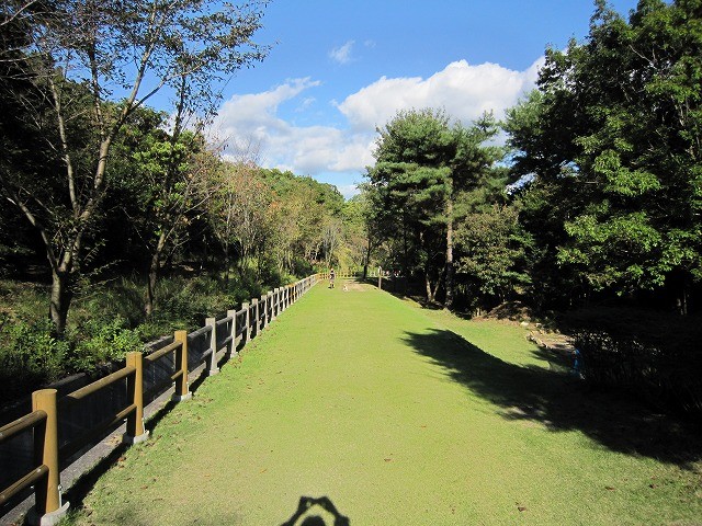 f:id:yasukazu01:20101011220229j:image f:id:yasukazu01:20101011220229j:image