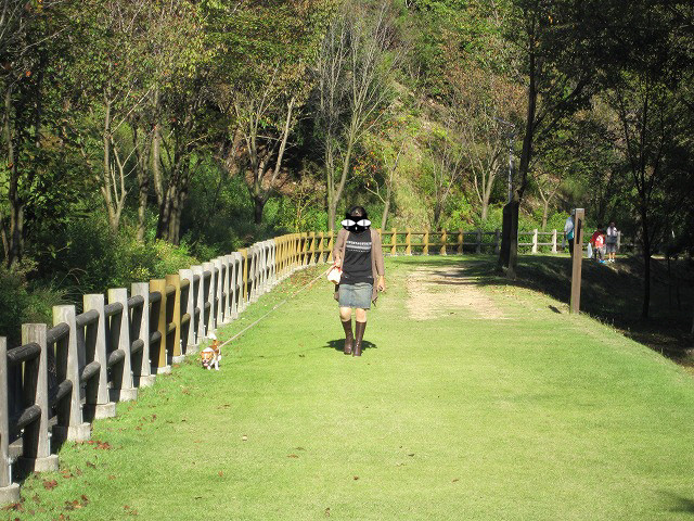 f:id:yasukazu01:20101011220230j:image f:id:yasukazu01:20101011220230j:image