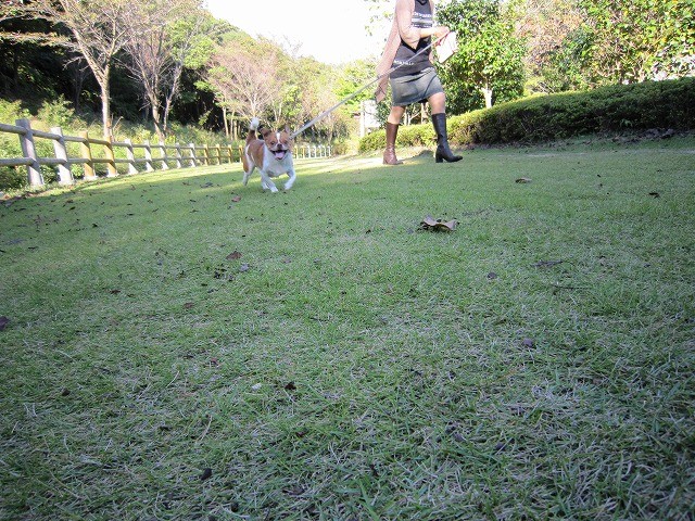 f:id:yasukazu01:20101011220231j:image f:id:yasukazu01:20101011220231j:image