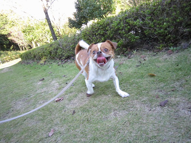 f:id:yasukazu01:20101011222711j:image f:id:yasukazu01:20101011222711j:image