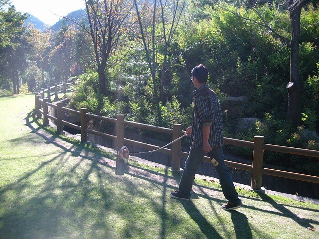 f:id:yasukazu01:20101012214325j:image