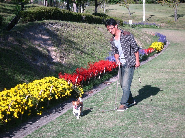 f:id:yasukazu01:20101012214326j:image