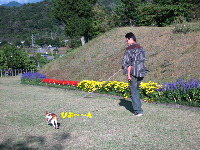 f:id:yasukazu01:20101012214327j:image