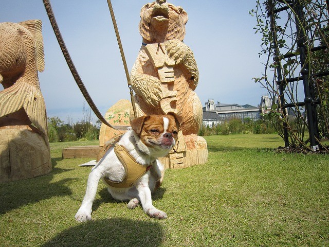 f:id:yasukazu01:20101025204534j:image