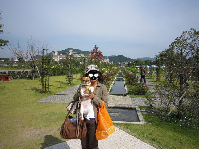 f:id:yasukazu01:20101025204823j:image