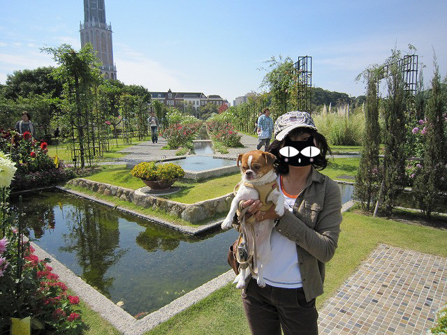 f:id:yasukazu01:20101025205939j:image