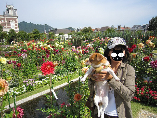f:id:yasukazu01:20101025210238j:image