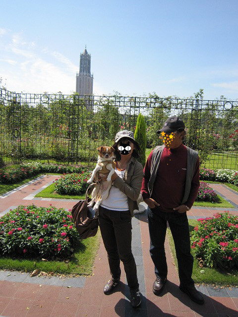 f:id:yasukazu01:20101025210448j:image